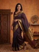 Soft Silk Mango Zari Border Saree